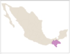 
Chiapas
en México
