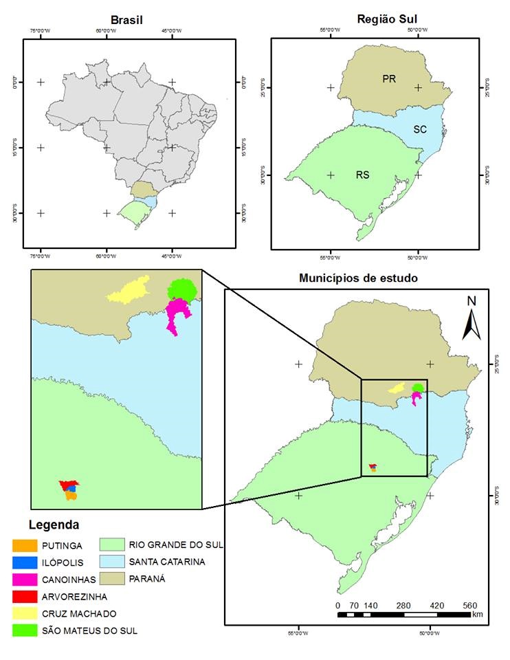 Figura  1. Municípios  que compõem os arranjos produtivos RS e PR/SC delimitados na pesquisa e a  localização nos estados 