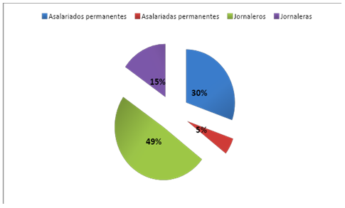 Citricultura. Participación relativa sobre el trabajo asalariado  total del trabajo permanente o temporal y según sexo. Año 2011.