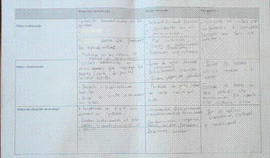 Detalle de una de las planillas de registro de la actividad grupal