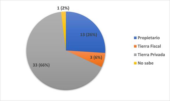 Situación de tenencia de la tierra de las familias entrevistadas
