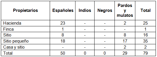 Condición étnico-racial de los propietarios