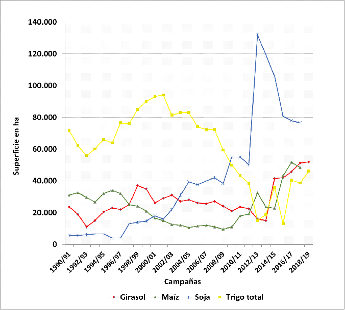 Evolución de la superficie sembrada (ha) con los principales cultivos en el partido de Balcarce. Campañas 1990-2019