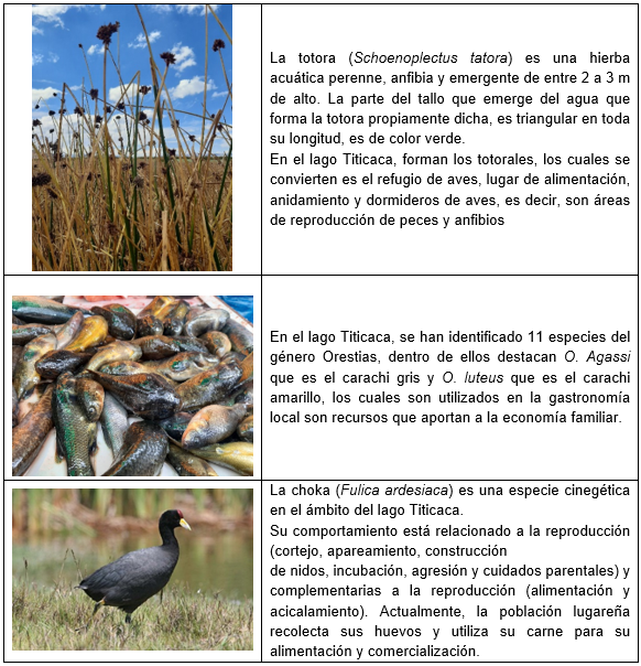 Características de las especies de mayor aprovechamiento en la RNT