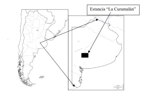 Mapa de Argentina, Provincia de Buenos Aires, y ubicación de “Estancia La Curumalán”