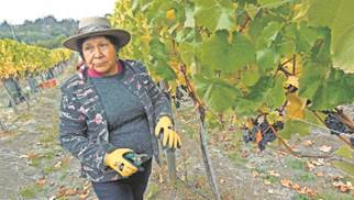 Nuevas actividades agrícolas asociadas al turismo