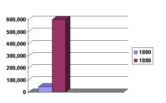 grafico