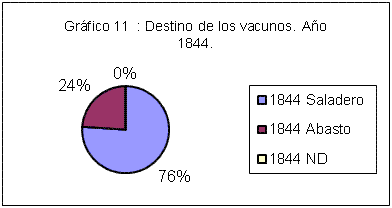 Infesta Gráfico 11