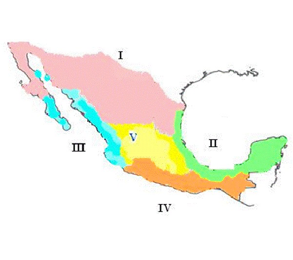 figura
