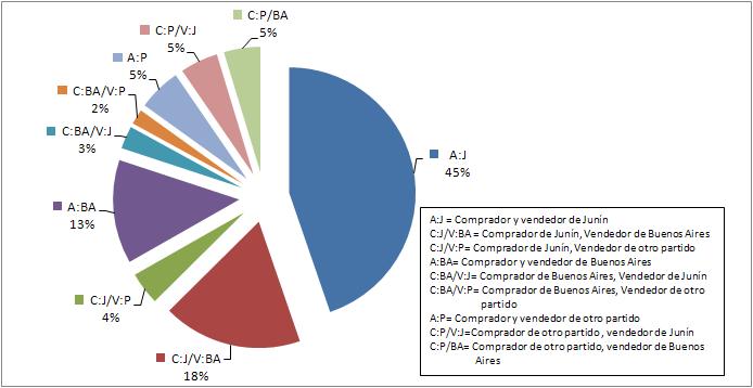 Banzato. Grafico 11